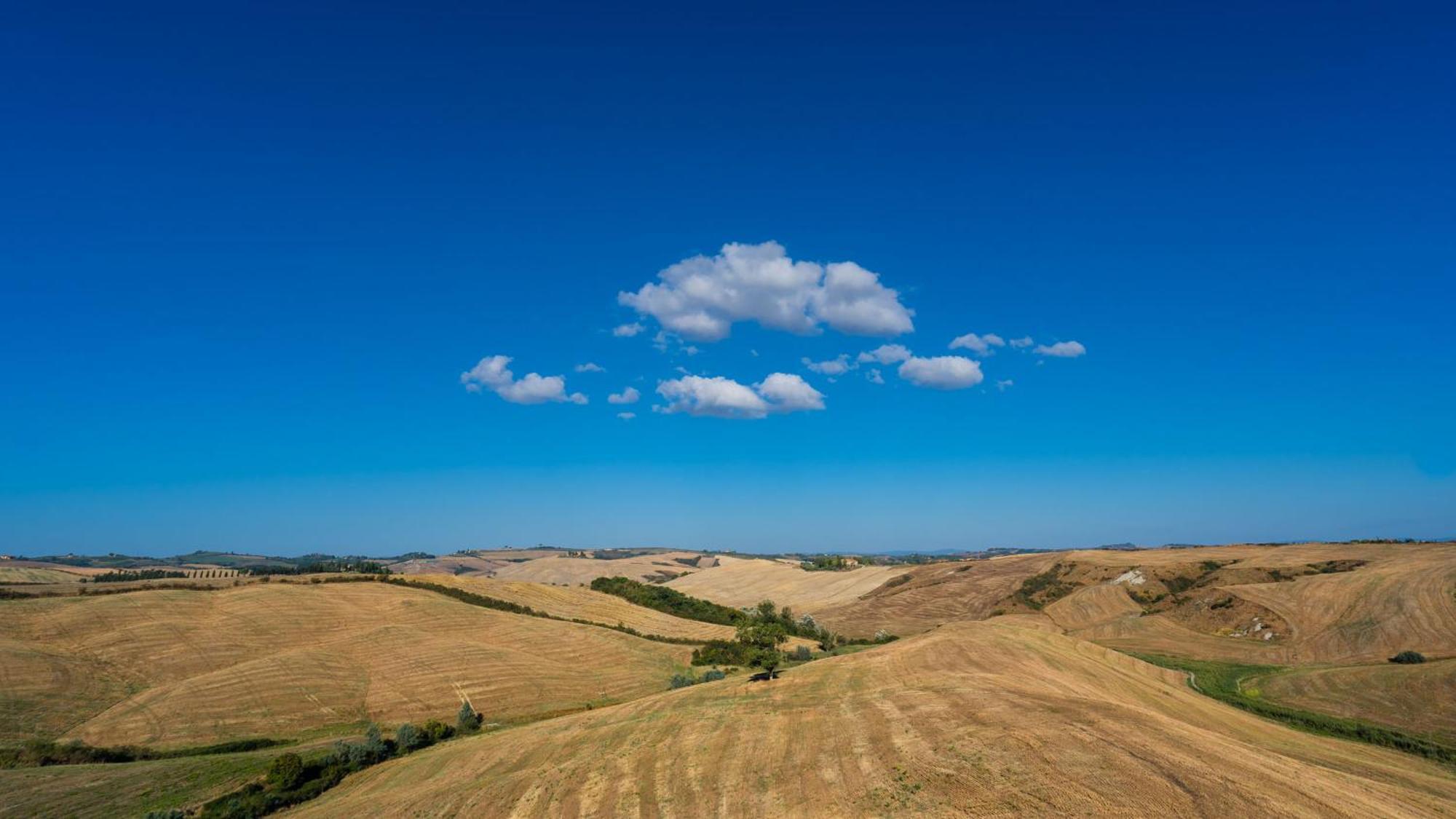 Podere Fossaccio Casa Pino Asciano Exterior photo
